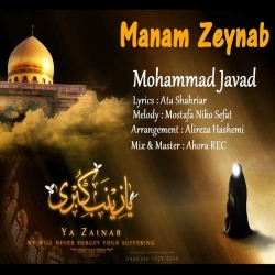 Ø¯Ø§Ù†Ù„ÙˆØ¯ Ø¢Ù‡Ù†Ú¯ Ø¬Ø¯ÛŒØ¯ Ù…Ø­Ù…Ø¯ Ø¬ÙˆØ§Ø¯  Ù…Ù†Ù… Ø²ÛŒÙ†Ø¨ Ø¨Ø§ Ú©ÛŒÙÛŒØª Ø¨Ø§Ù„Ø§