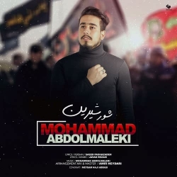 Ø¯Ø§Ù†Ù„ÙˆØ¯ Ø¢Ù‡Ù†Ú¯ Ø¬Ø¯ÛŒØ¯ Ù…Ø­Ù…Ø¯ Ø¹Ø¨Ø¯Ø§Ù„Ù…Ø§Ù„Ú©ÛŒ  Ø´ÙˆØ± Ø´ÛŒØ±ÛŒÙ† Ø¨Ø§ Ú©ÛŒÙÛŒØª Ø¨Ø§Ù„Ø§