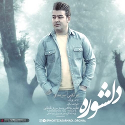 دانلود آهنگ جدید مرتضی سرمدی  دلشوره با کیفیت بالا