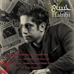 دانلود آهنگ جدید محمد فلاح بنام حبیبی با متن ترانه
