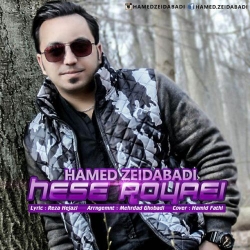 دانلود آهنگ جدید حامد زیدآبادی  حس رویایی با کیفیت بالا