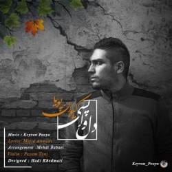 Ø¯Ø§Ù†Ù„ÙˆØ¯ Ø¢Ù‡Ù†Ú¯ Ø¬Ø¯ÛŒØ¯ Ú©ÛŒÙˆØ§Ù† Ù¾ÙˆÛŒØ§  Ø¯Ù„ ÙˆØ§Ù¾Ø³ÛŒ Ø¨Ø§ Ú©ÛŒÙÛŒØª Ø¨Ø§Ù„Ø§