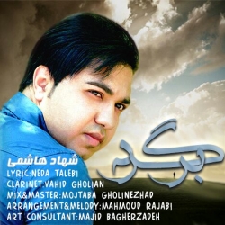 دانلود آهنگ جدید شهاد هاشمی  برگرد با کیفیت بالا