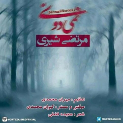 Ø¯Ø§Ù†Ù„ÙˆØ¯ Ø¢Ù‡Ù†Ú¯ Ø¬Ø¯ÛŒØ¯ Ù…Ø±ØªØ¶ÛŒ Ø´ÛŒØ±ÛŒ  Ù†Ù…ÛŒ Ø¯ÙˆÙ†ÛŒ Ø¨Ø§ Ú©ÛŒÙÛŒØª Ø¨Ø§Ù„Ø§