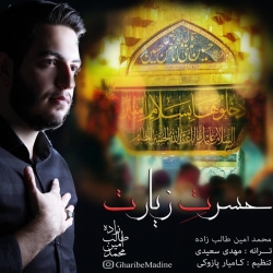 Ø¯Ø§Ù†Ù„ÙˆØ¯ Ø¢Ù‡Ù†Ú¯ Ø¬Ø¯ÛŒØ¯ Ù…Ø­Ù…Ø¯ Ø§Ù…ÛŒÙ† Ø·Ø§Ù„Ø¨ Ø²Ø§Ø¯Ù‡  Ø­Ø³Ø±Øª Ø²ÛŒØ§Ø±Øª Ø¨Ø§ Ú©ÛŒÙÛŒØª Ø¨Ø§Ù„Ø§