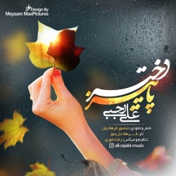 Ø¯Ø§Ù†Ù„ÙˆØ¯ Ø¢Ù‡Ù†Ú¯ Ø¬Ø¯ÛŒØ¯ Ø¹Ù„ÛŒ Ø±Ø¬Ø¨ÛŒ  Ø¯Ø®ØªØ± Ù¾Ø§ÛŒÛŒØ² Ø¨Ø§ Ú©ÛŒÙÛŒØª Ø¨Ø§Ù„Ø§