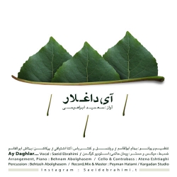 Ø¯Ø§Ù†Ù„ÙˆØ¯ Ø¢Ù‡Ù†Ú¯ Ø¬Ø¯ÛŒØ¯ Ø³Ø¹ÛŒØ¯ Ø§Ø¨Ø±Ø§Ù‡ÛŒÙ…ÛŒ  Ø¢ÛŒ Ø¯Ø§ØºÙ„Ø§Ø± Ø¨Ø§ Ú©ÛŒÙÛŒØª Ø¨Ø§Ù„Ø§