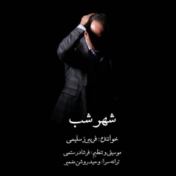 Ø¯Ø§Ù†Ù„ÙˆØ¯ Ø¢Ù‡Ù†Ú¯ Ø¬Ø¯ÛŒØ¯ ÙØ±ÛŒØ¨Ø±Ø² Ø³Ù„ÛŒÙ…ÛŒ  Ø´Ù‡Ø± Ø´Ø¨ Ø¨Ø§ Ú©ÛŒÙÛŒØª Ø¨Ø§Ù„Ø§